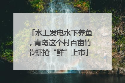 水上发电水下养鱼，青岛这个村百亩竹节虾抢“鲜”上市