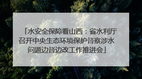水安全保障看山西：省水利厅召开中央生态环境保护督察涉水问题边督边改工作推进会