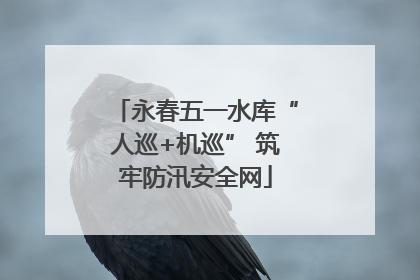 永春五一水库“人巡+机巡” 筑牢防汛安全网