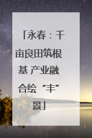 永春：千亩良田筑根基 产业融合绘“丰”景