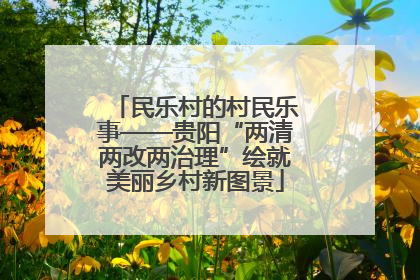 民乐村的村民乐事——贵阳“两清两改两治理”绘就美丽乡村新图景