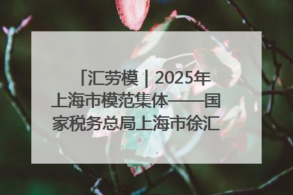汇劳模｜2025年上海市模范集体——国家税务总局上海市徐汇区税务局第一税务所