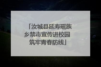 汝城县延寿瑶族乡禁毒宣传进校园 筑牢青春防线