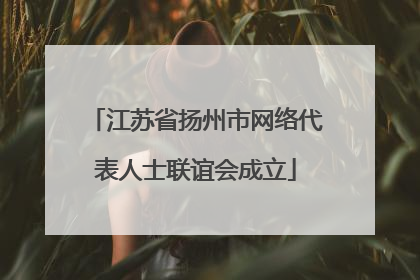 江苏省扬州市网络代表人士联谊会成立