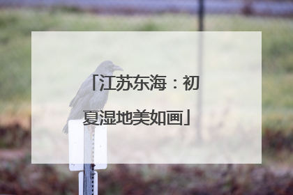 江苏东海：初夏湿地美如画