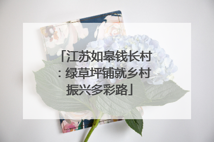 江苏如皋钱长村：绿草坪铺就乡村振兴多彩路