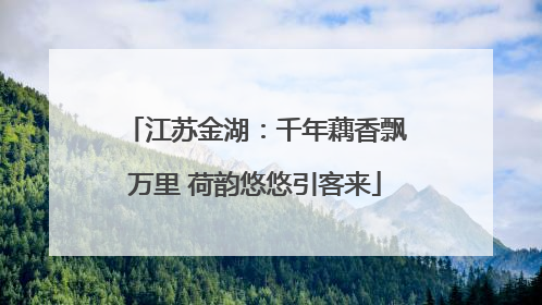 江苏金湖：千年藕香飘万里 荷韵悠悠引客来