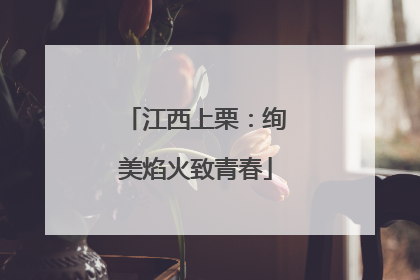 江西上栗：绚美焰火致青春