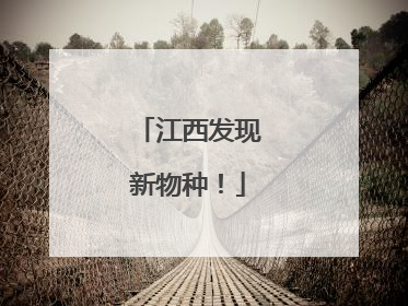 江西发现新物种！