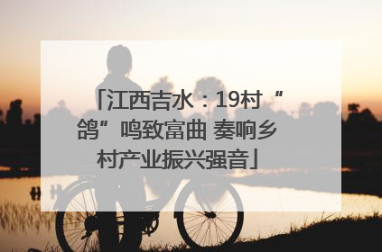江西吉水：19村“鸽”鸣致富曲 奏响乡村产业振兴强音