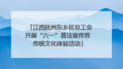 江西抚州东乡区总工会开展“六一”普法宣传暨传统文化体验活动