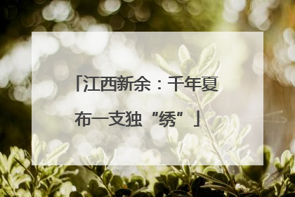 江西新余：千年夏布一支独“绣”