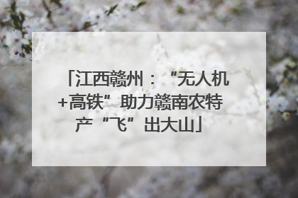 江西赣州：“无人机+高铁”助力赣南农特产“飞”出大山
