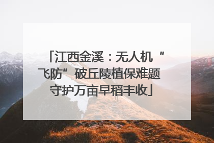 江西金溪：无人机“飞防”破丘陵植保难题 守护万亩早稻丰收