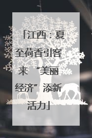 江西：夏至荷香引客来 “美丽经济”添新活力