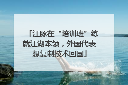 江豚在“培训班”练就江湖本领，外国代表想复制技术回国