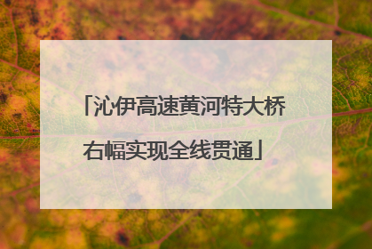 沁伊高速黄河特大桥右幅实现全线贯通