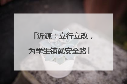 沂源：立行立改，为学生铺就安全路