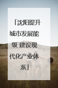 沈阳提升城市发展能级 建设现代化产业体系