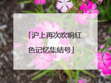 沪上再次吹响红色记忆集结号