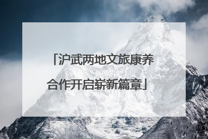 沪武两地文旅康养合作开启崭新篇章