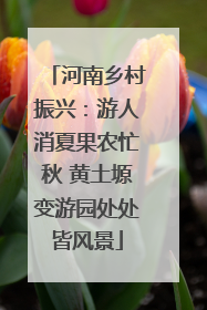 河南乡村振兴：游人消夏果农忙秋 黄土塬变游园处处皆风景