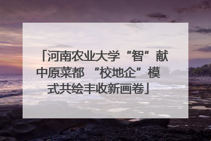 河南农业大学“智”献中原菜都 “校地企”模式共绘丰收新画卷