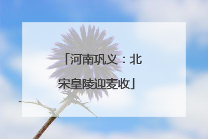 河南巩义：北宋皇陵迎麦收