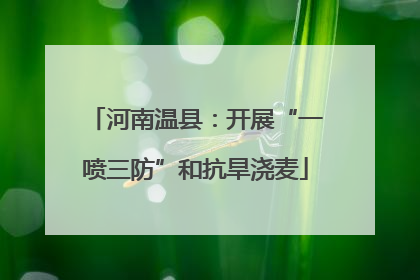 河南温县：开展“一喷三防”和抗旱浇麦