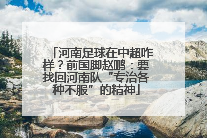 河南足球在中超咋样？前国脚赵鹏：要找回河南队“专治各种不服”的精神