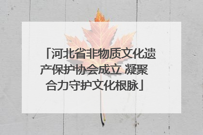 河北省非物质文化遗产保护协会成立 凝聚合力守护文化根脉