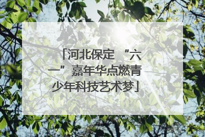 河北保定 “六一”嘉年华点燃青少年科技艺术梦