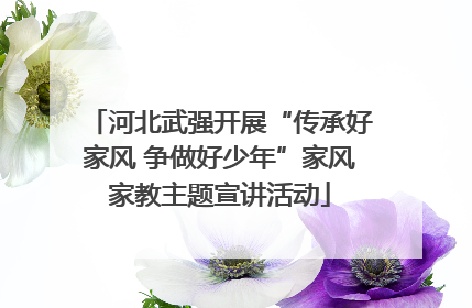 河北武强开展“传承好家风 争做好少年”家风家教主题宣讲活动