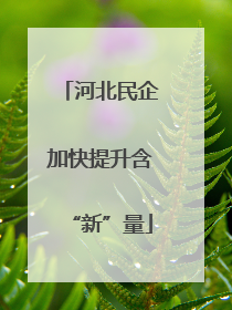 河北民企加快提升含“新”量