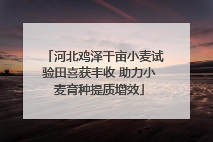 河北鸡泽千亩小麦试验田喜获丰收 助力小麦育种提质增效