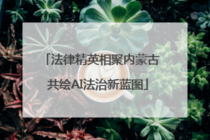 法律精英相聚内蒙古 共绘AI法治新蓝图