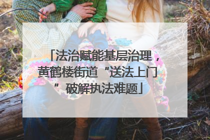 法治赋能基层治理，黄鹤楼街道“送法上门”破解执法难题