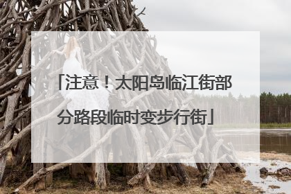 注意！太阳岛临江街部分路段临时变步行街