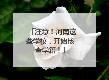 注意！河南这些学校，开始核查学籍！