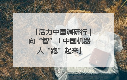 活力中国调研行｜向“智”！中国机器人“跑”起来