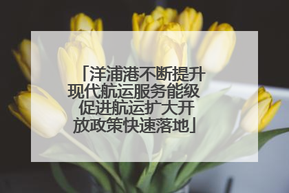 洋浦港不断提升现代航运服务能级 促进航运扩大开放政策快速落地
