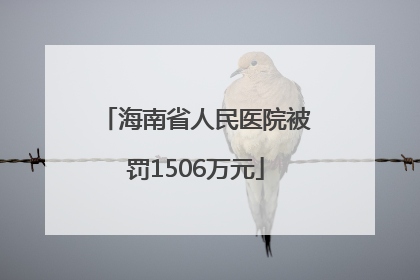 海南省人民医院被罚1506万元