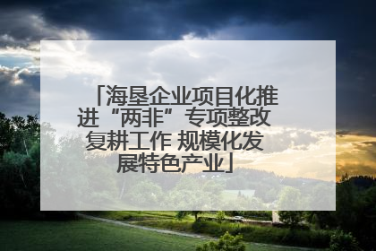 海垦企业项目化推进“两非”专项整改复耕工作 规模化发展特色产业