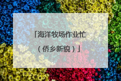 海洋牧场作业忙（侨乡新貌）