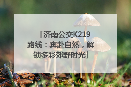 济南公交K219路线：奔赴自然，解锁多彩郊野时光
