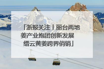 浙报关注丨丽台两地姜产业抱团创新发展 缙云黄姜跨界俏销