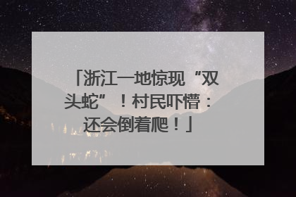 浙江一地惊现“双头蛇”！村民吓懵：还会倒着爬！