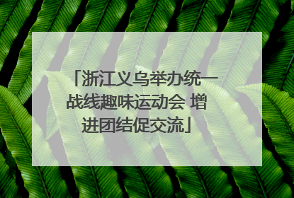 浙江义乌举办统一战线趣味运动会 增进团结促交流