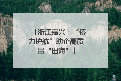 浙江嘉兴：“侨力护航”助企高质量“出海”