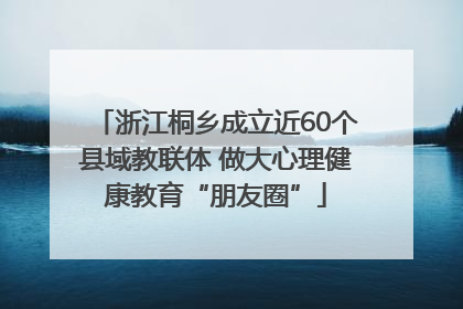 浙江桐乡成立近60个县域教联体 做大心理健康教育“朋友圈”